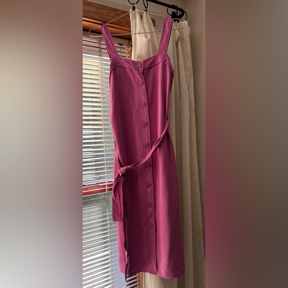 Everlane Magenta Button-Front Dress